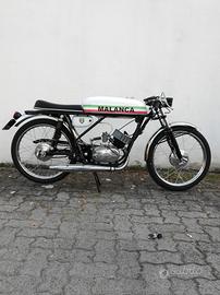 malanca testa rossa