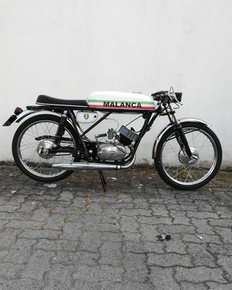 malanca testa rossa