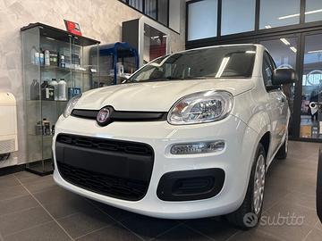 FIAT Panda 3ª serie Panda 1.0 FireFly S&S Hybr...