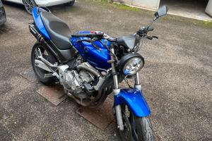 Honda hornet 600