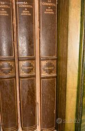 La Commedia” (7 centenario della nascita di Dante)