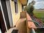 Immagine 15