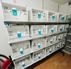 Batteria da 40 gabbie