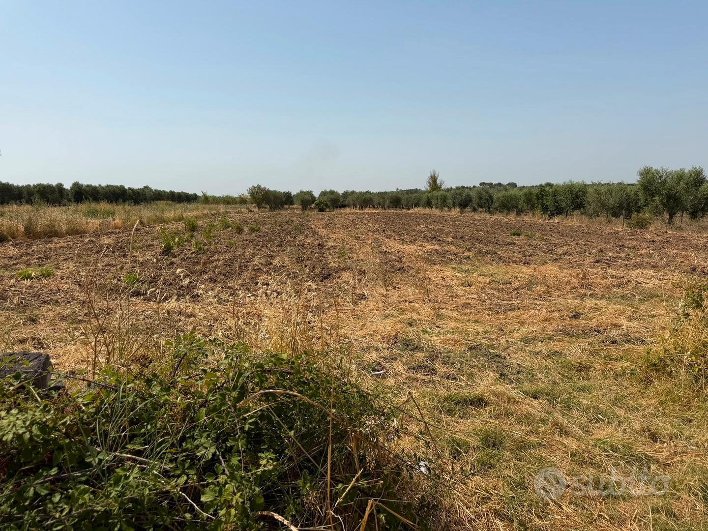 Terreno 3000 mt2 - Altro