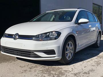 VOLKSWAGEN Golf Variant 1.4 TGI Trendline BlueMo