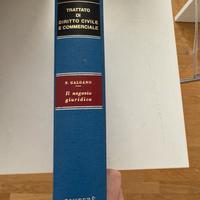 Il negozio giuridico Galgano