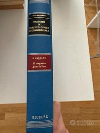 Il negozio giuridico Galgano