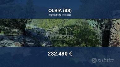 Immobile in asta di 12390 m² a Olbia