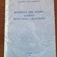 MANTOVA NEL TEMPO: Elementi tratti dalla cartograf