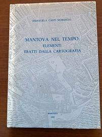MANTOVA NEL TEMPO: Elementi tratti dalla cartograf