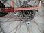 Immagine 8