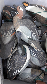 Richiami anatre in sughero