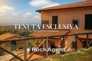 Villa di 440 m² con più di 5 locali a Carmignano