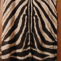 Foulard/sciarpa Roberto Cavalli Viscosa e Lana