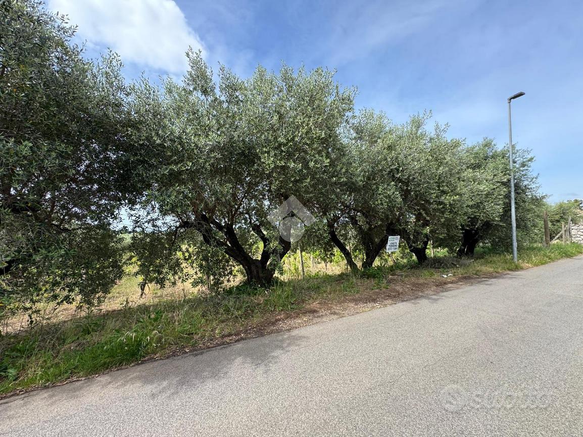 TER. AGRICOLO A LANUVIO - Vista 4