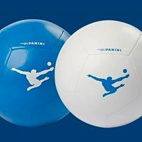 Pallone calcio Esselunga the kick Panini