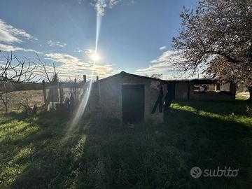 Terreno Agricolo Nepi [Cod. rif 3327488VCG]