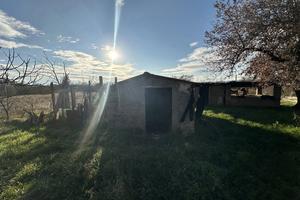 Terreno Agricolo Nepi [Cod. rif 3327488VCG]