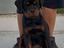 Immagine 6