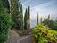Immagine 29