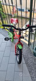 Bicicletta Silver Star