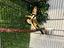 Immagine 5