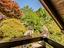 Immagine 25