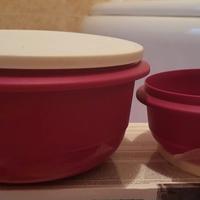 Ciotole lievitatrici Tupperware