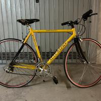 Bici corsa / passeggio