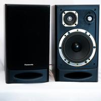 Casse Acustiche Panasonic SB-CH22

