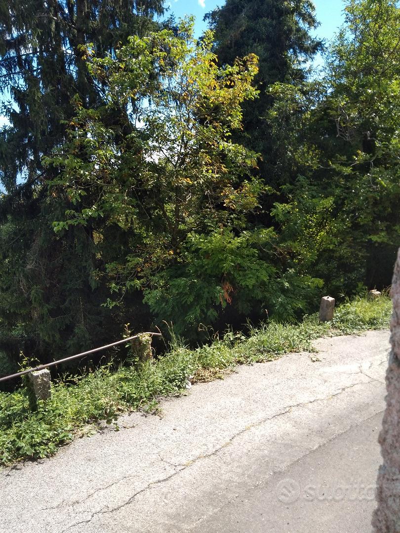privato vende casa indipendente e terreno bosch - Vista 5