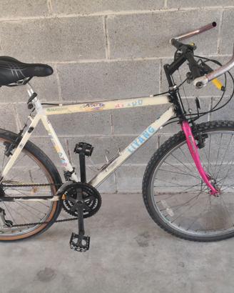 Bici uomo