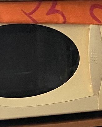Forno a microonde grande