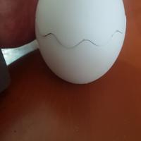 mezz'ovetto fatto in gesso