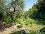 Immagine 23
