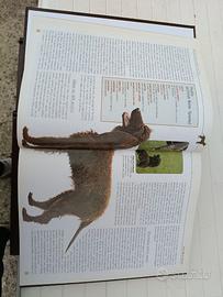 Enciclopedie dei cani 5 volumi