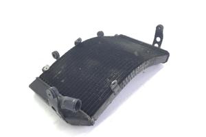 HONDA CBR F 600 RADIATORE ACQUA LIQUIDO RAFFREDDAM