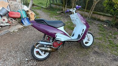 Phantom f12 elaborato