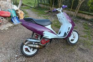 Phantom f12 elaborato