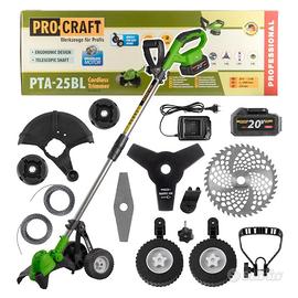 Decespugliatore elettrico 100€