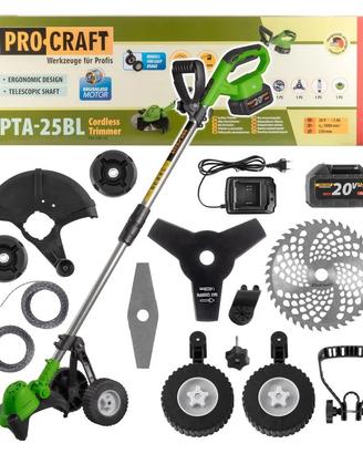 Decespugliatore elettrico 100€