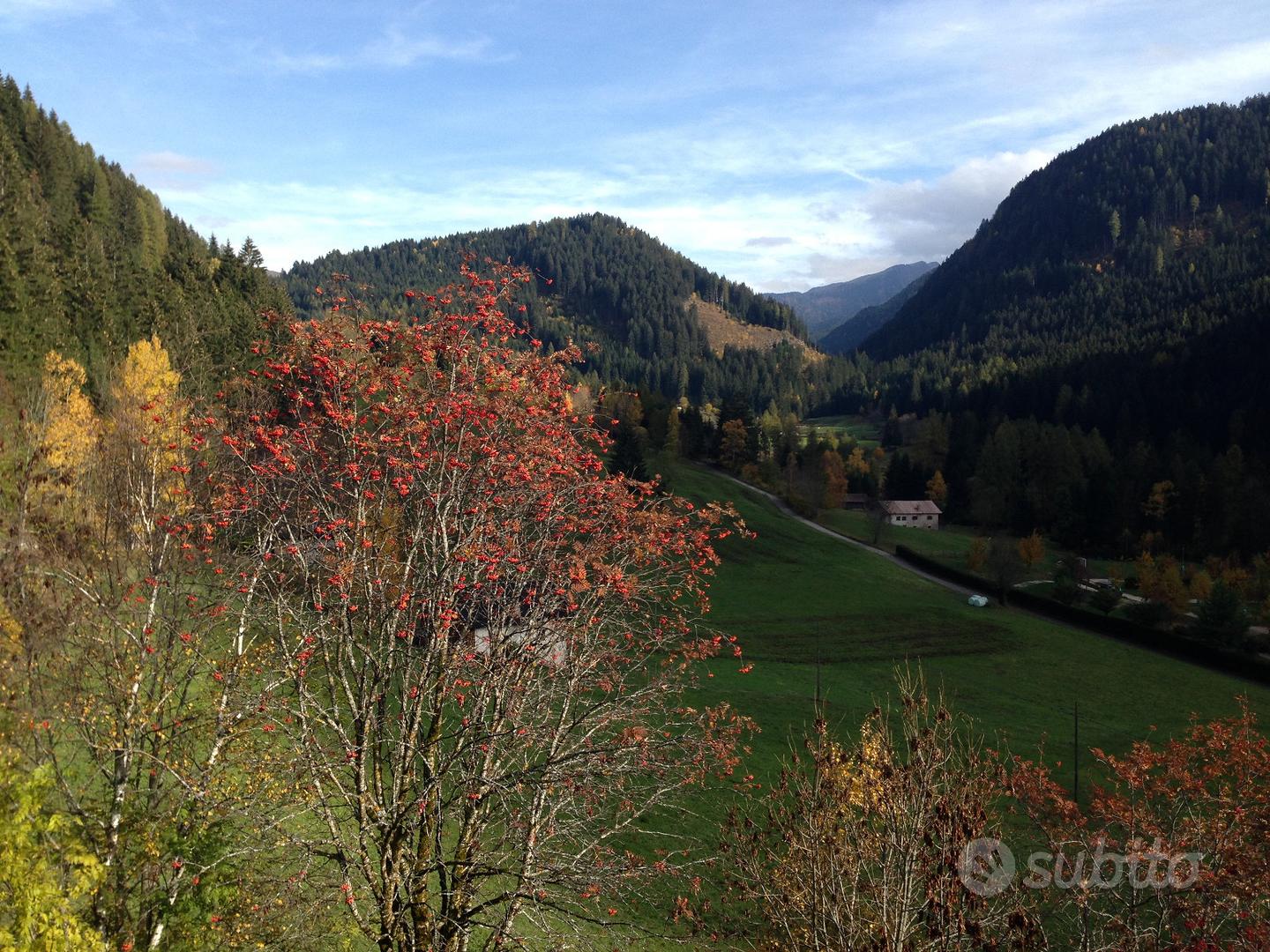Estate in Trentino - Case vacanza In affitto per vacanze a Trento