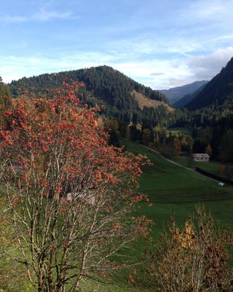 Estate in Trentino
