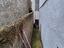 Immagine 29