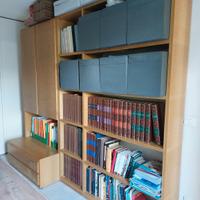 Libreria in frassino 