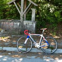 Bici da corsa Pinarello