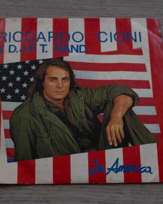 vinile 45 del brano In America