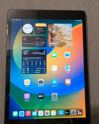 Apple iPad 9a gen 2021 256 GB Wi-Fi + Apple Pencil