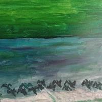 Anatre che spiccano il volo al lago