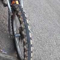 bici 20